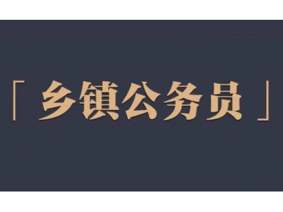 鄉(xiāng)鎮(zhèn)公務(wù)員待遇？