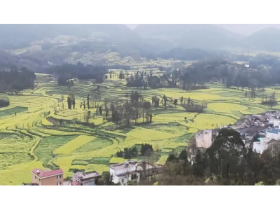 芭田股份主營(yíng)業(yè)務(wù)？